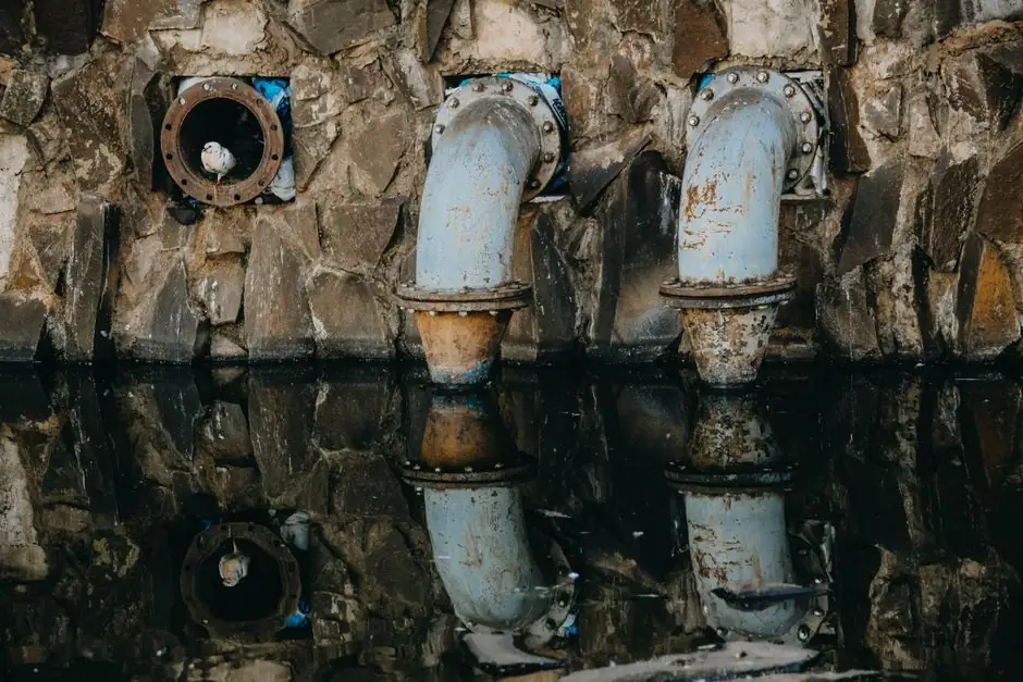 A seagull perches on rusty industrial pipes reflecting in the water at Ribeirão Preto, Brazil.